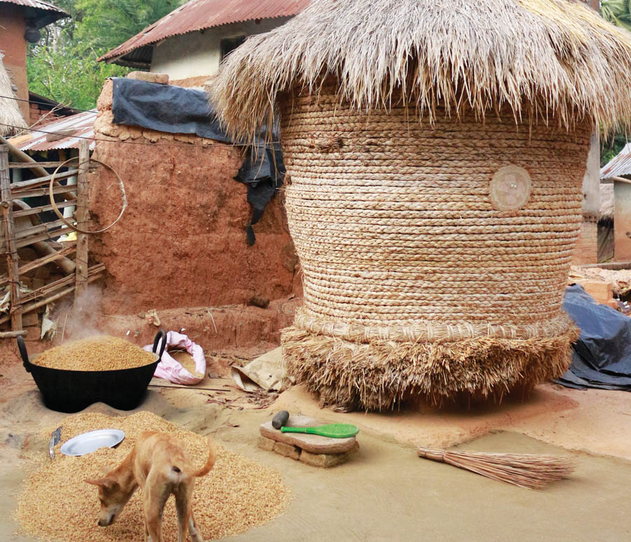 Agrarian Crisis in India: Struggling with policy fallow